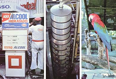 LEFT: An ethanol fuel pump. CENTER: A fuel distilling tower. RIGHT: Brazilian parrot, a symbol of the tropics.